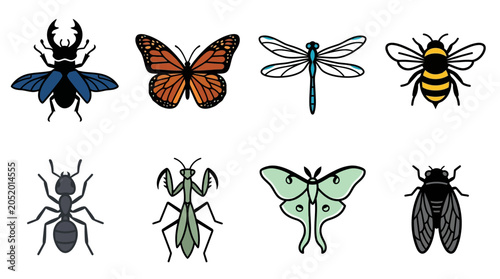 Cuadro en lienzo Insects Butterflies Bees Dragonflies Beetles.