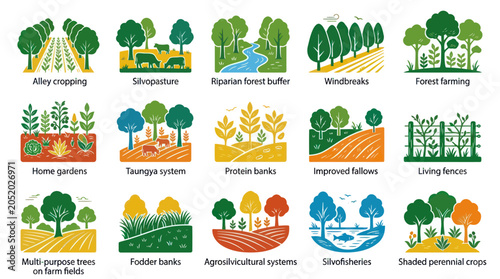Agroforestry Systems Icons: Sustainable Farming and Nature Concepts, Flat Design