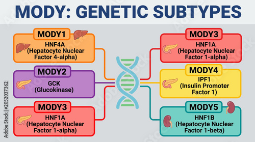 Photos MODY Maturity Onset Diabetes of the Young Genetic Subtypes