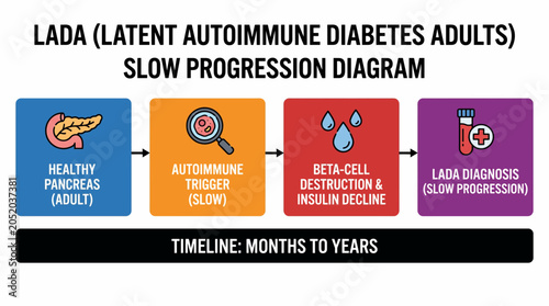 Foto Latent Autoimmune Diabetes Adults LADA Slow Progression Diagram