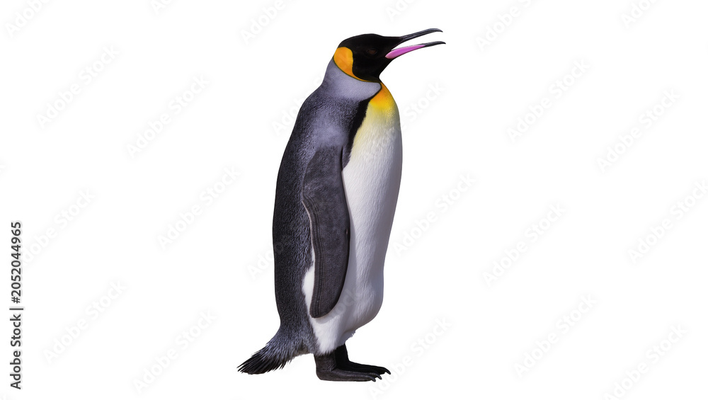 Fototapeta premium King penguin with black head and yellow neck, isolated on transparent background