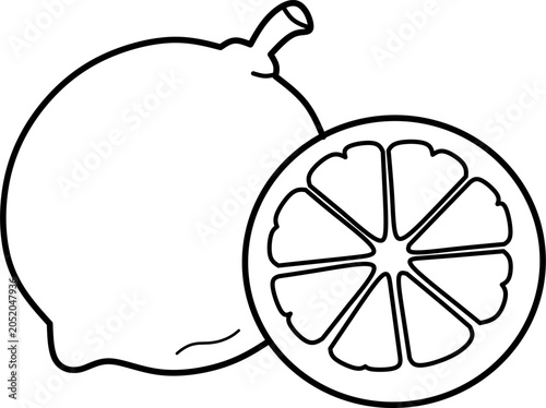 Simple lime fruit line art vector illustration featuring whole and sliced lime. Perfect for coloring books, educational materials, citrus fruit themes, and printable projects.