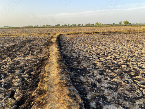 Fotografie Dry cracked agricultural field soil texture under sunlight drought concept lands