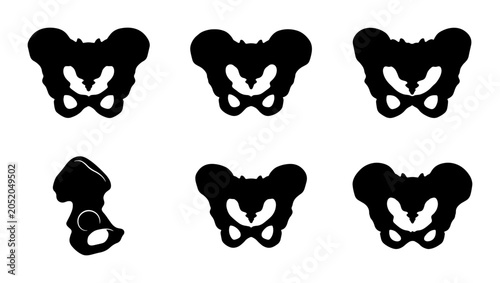 Foto Collection of human pelvis bone silhouettes on white background Vector