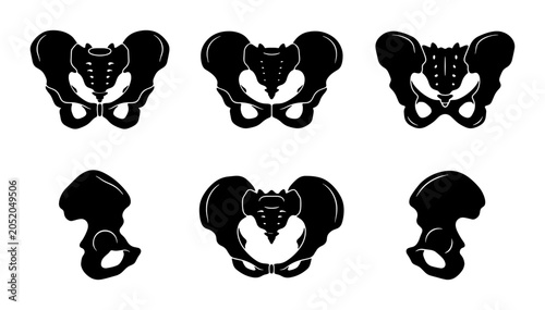 Quadro em tela Human pelvis bone anatomy silhouette set - multiple views Vector