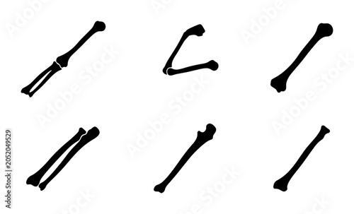 Foto Set of black bone silhouettes isolated on white background Vector