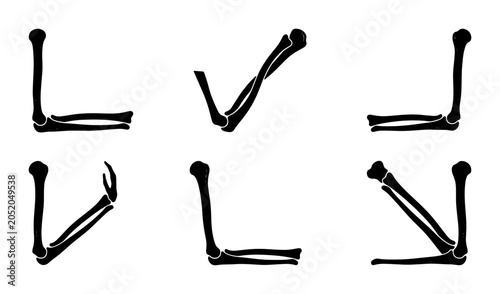 Foto Human elbow joint bones in different positions - medical anatomy illustration Ve