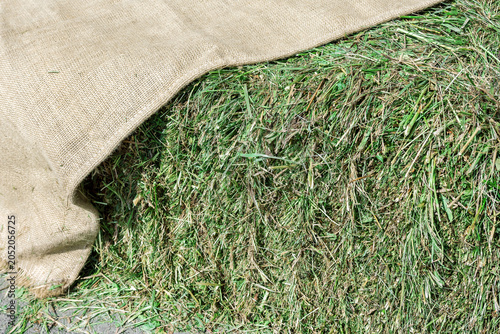 Burlap sack covering a bale of hay