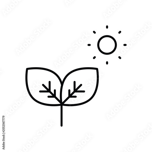 Naturopathy leaf sun icon