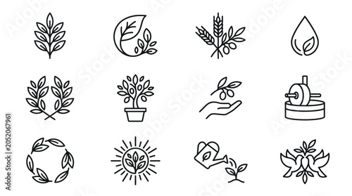 Фотография Black line icons of plants and leaves.