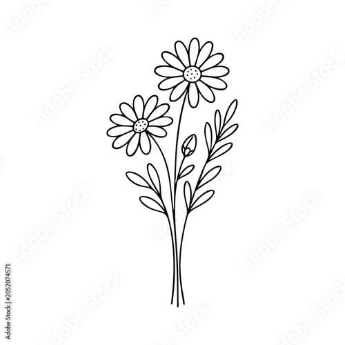 Minimalist Daisy Wildflower Line Art Illustration with Botanical Leaves and Floral Stem Design
