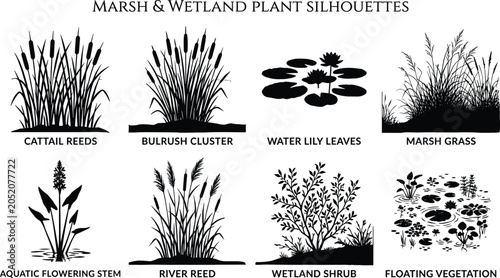 Schilderij op canvas Marsh and Wetland Plant Silhouette Collection Featuring Cattails Reeds Water Lil