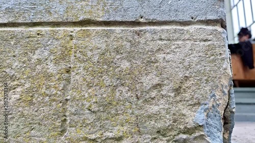 Weathered stone wall with faded engraving and small ants moving across the rough surface. Natural outdoor scene highlighting texture, age, history, insect activity, and detail