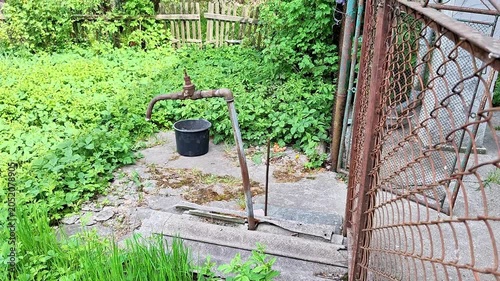 Quiet backyard scene featuring an old hand water pump and bucket surrounded by lush green vegetation. Rustic rural setting highlighting nature, simplicity, and countryside life