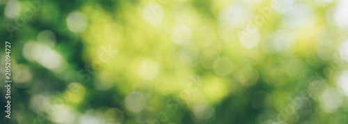 abstract circular green bokeh background, green nature spring and nature light in blurred style, copy space