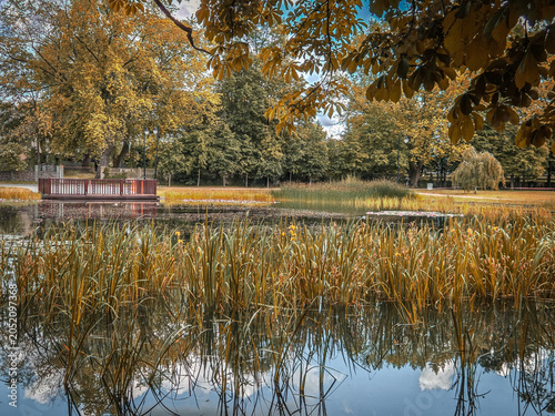 A city park in Zdunska Wola, Poland.