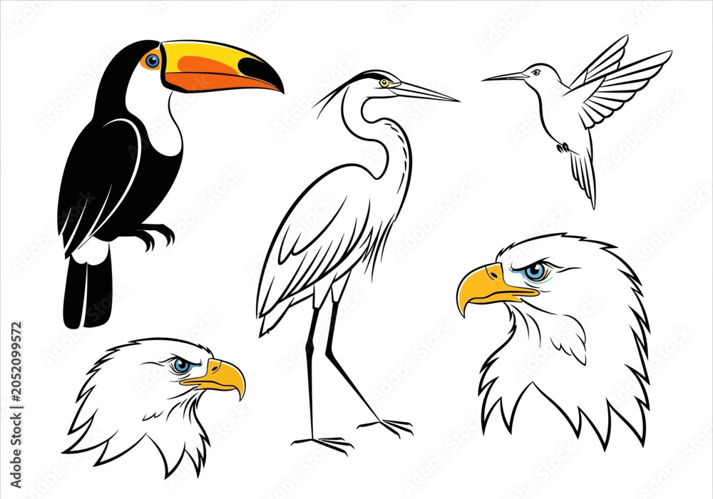 Fototapeta premium Tropical and North American Bird Vector Illustration Set with Toucan, Heron, Bald Eagle, and Hummingbird Icons