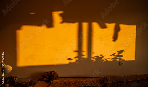 Warm golden sunlight creates enchanting shadows of leaves on the living room wall