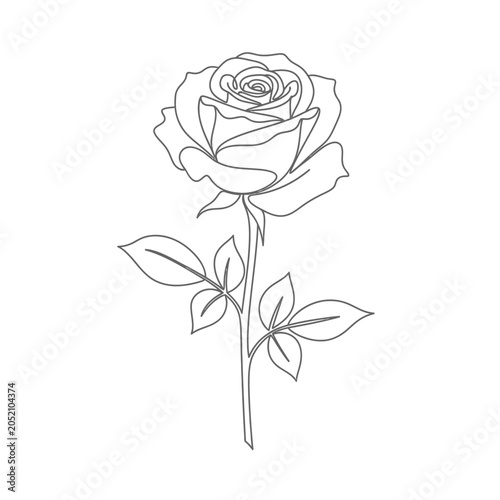Minimalist rose line art, delicate flower design, single stem beauty