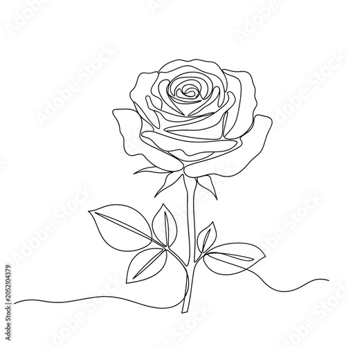 Minimalist Rose Line Drawing on White Background