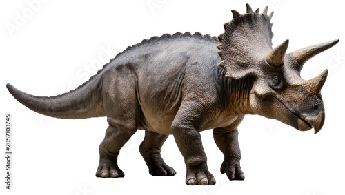 Photos Triceratops dinosaur with three horns and frill