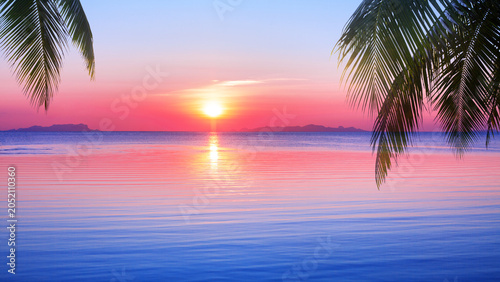 Sea beach sunrise, ocean sunset landscape, paradise tropical island nature, coconut palm tree leaves silhouette, pink red sky, sun reflection on water, idyllic calm atmosphere, summer holidays, travel