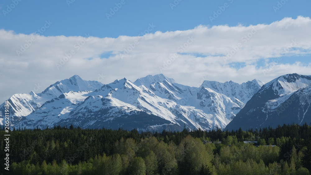 Obraz premium Breathtaking nature landscape scenery around Haines, Alaska in the great outdoors Inside passage national park reserve most beautiful flora fauna on sunny day blue sky