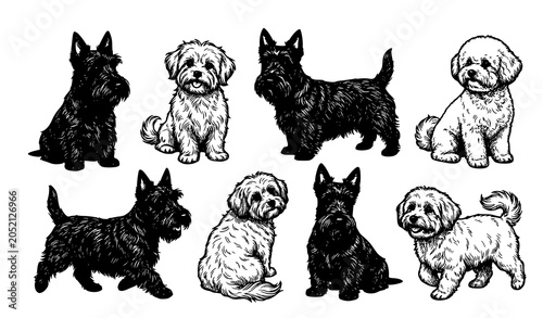 Obraz na plátně Scottish Terrier and White Lap Dog Realistic Vector Pet Portrait Set