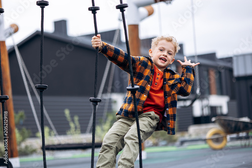 Картината върху платно Happy little boy having fun on a playground, actively climbing ropes and enjoyin