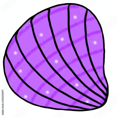 vector illustration of a purple seashell