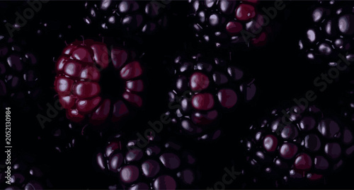 Abstract macro blackberry texture background. Dark moody pattern of ripe fresh blackberries vector illustration.
