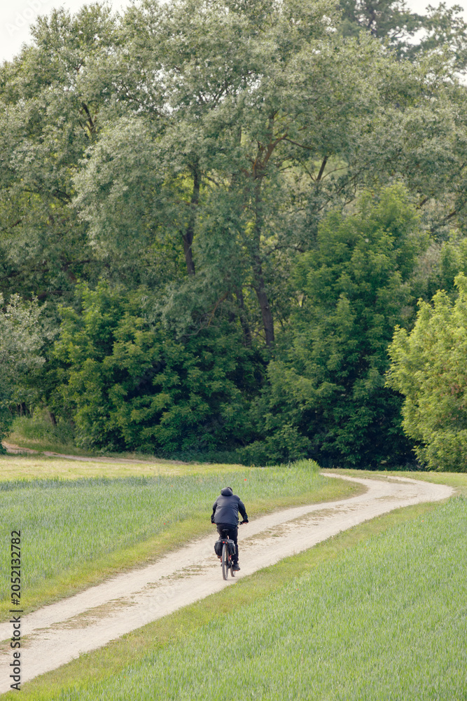 Fototapeta premium Man riding a bicycle on a path in the forest