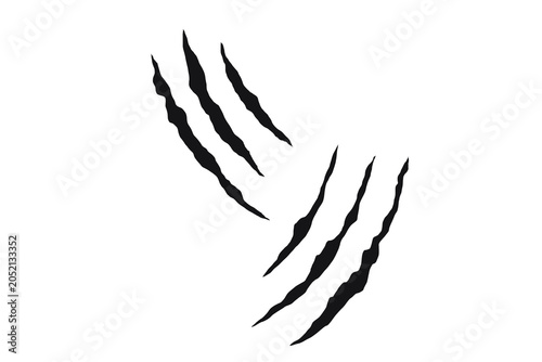Obraz na plátně Claw scratch marks vector set with torn slash effect and aggressive grunge texture