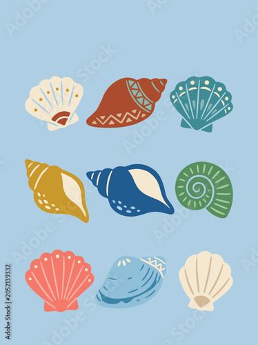 Colorful Seashell Collection Coastal Nature Illustration