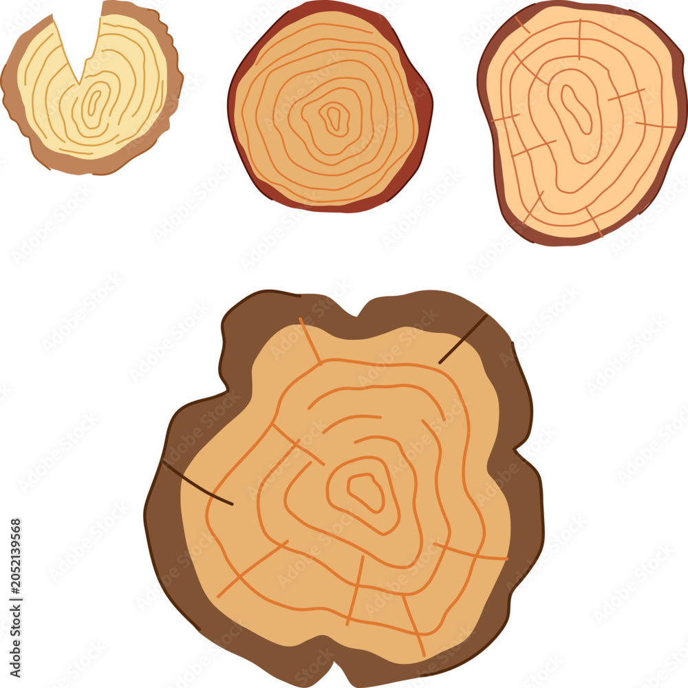Fototapeta premium Various wood slices highlighting growth rings and natural textures, suitable for timber and nature related designs, depicting material and environmental themes