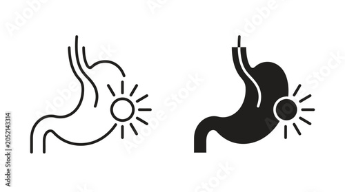 Bild auf Leinwand Human Stomach Illustrations Showcasing Anatomy