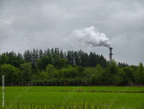 Factory chimney releasing smoke near green rice field.