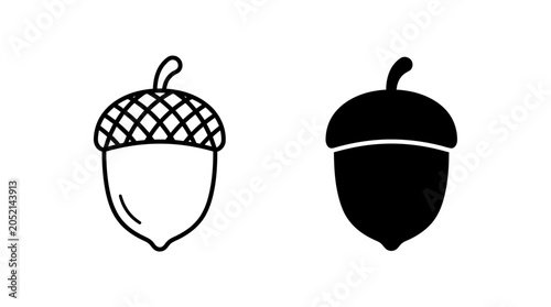 Quadro em tela Acorns Compared in Line and Solid Styles