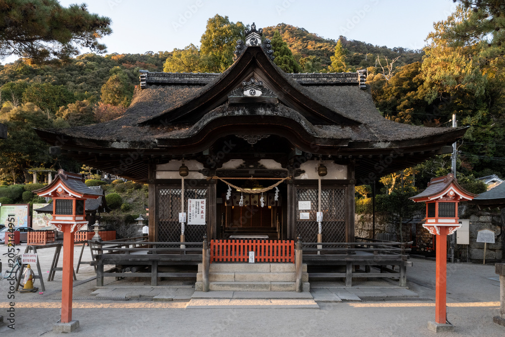 Fototapeta premium 拝殿正面全景 七五三の掲示と灯籠のある神社 茅葺き屋根