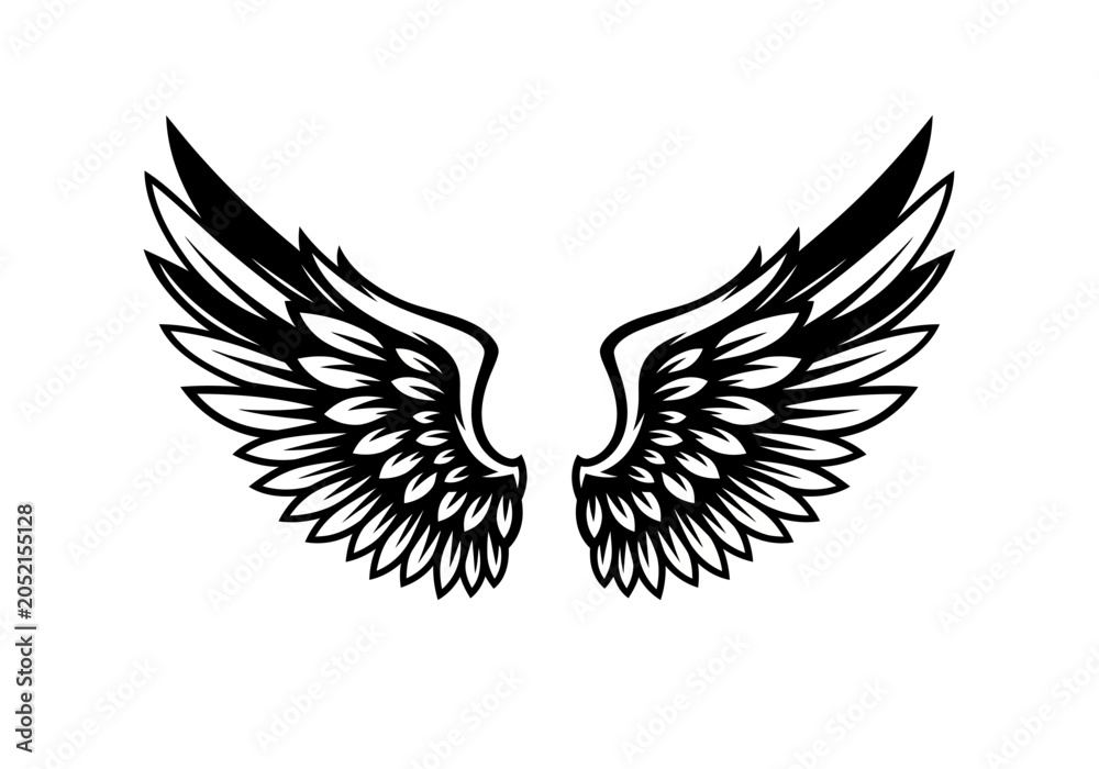 Obraz premium Pair of Detailed Black and White Stylized Wings, Angel or Eagle Wing Graphic Vector Illustration Isolated on White Background