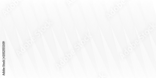 Fotografie Abstract White and Grey Background with Modern Geometric Diagonal Lines and Subt
