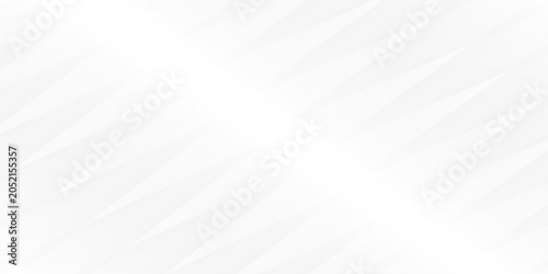 Photography Abstract White and Grey Background with Modern Geometric Diagonal Lines and Subt