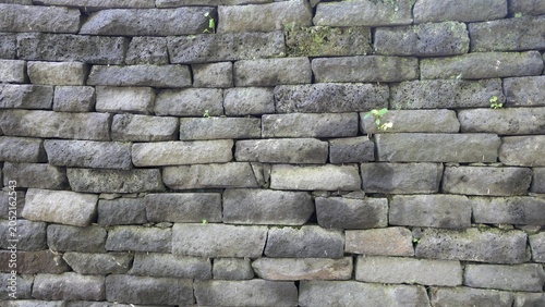 Bild auf Leinwand Weathered Basalt Stone Wall with Young Plants