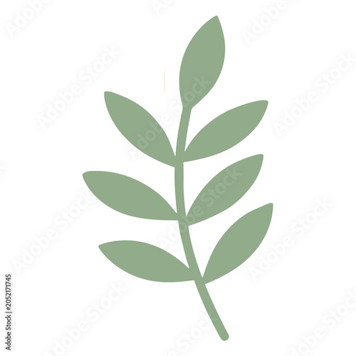 Hand drawn sage green botanical leaf sprig for organic design elements