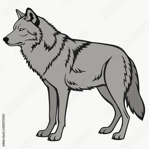 Grey wolf standing in side view isolated on white background. Full body wild animal vector illustration in cartoon style.