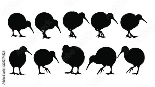 Bild auf Leinwand Collection of nine kiwi bird silhouettes in various poses against a white backgr