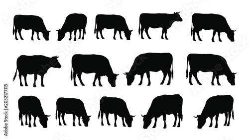Foto A collection of black cow silhouettes in various grazing poses against a white b