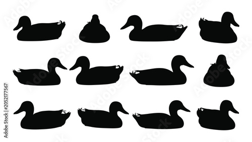 Fotografie Collection of black duck silhouettes in various poses against a white background