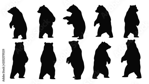 Canvastavla Collection Of Black Bear Silhouettes In Various Poses Against A White Background