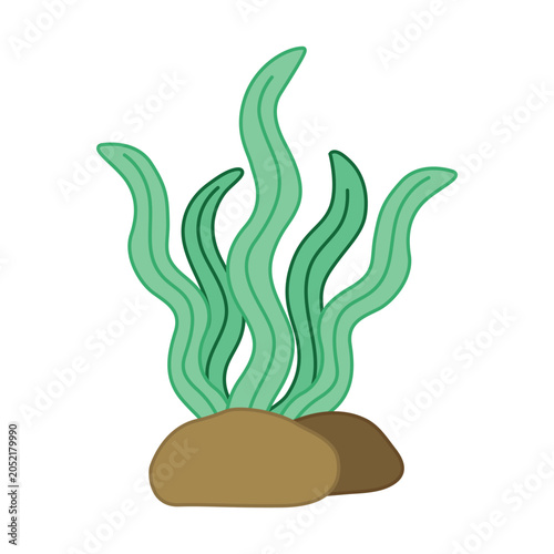 Cute cartoon seaweed vector asset isolated on white background